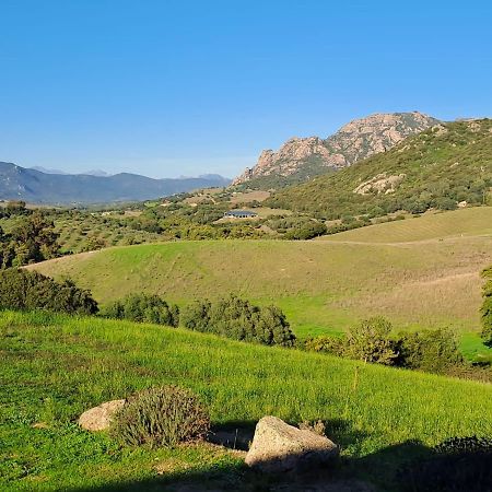 Ferme De Roccapina Bed & Breakfast Sarragia Екстериор снимка