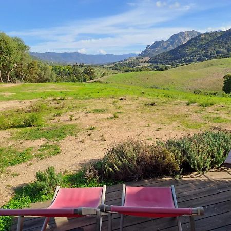 Ferme De Roccapina Bed & Breakfast Sarragia Екстериор снимка