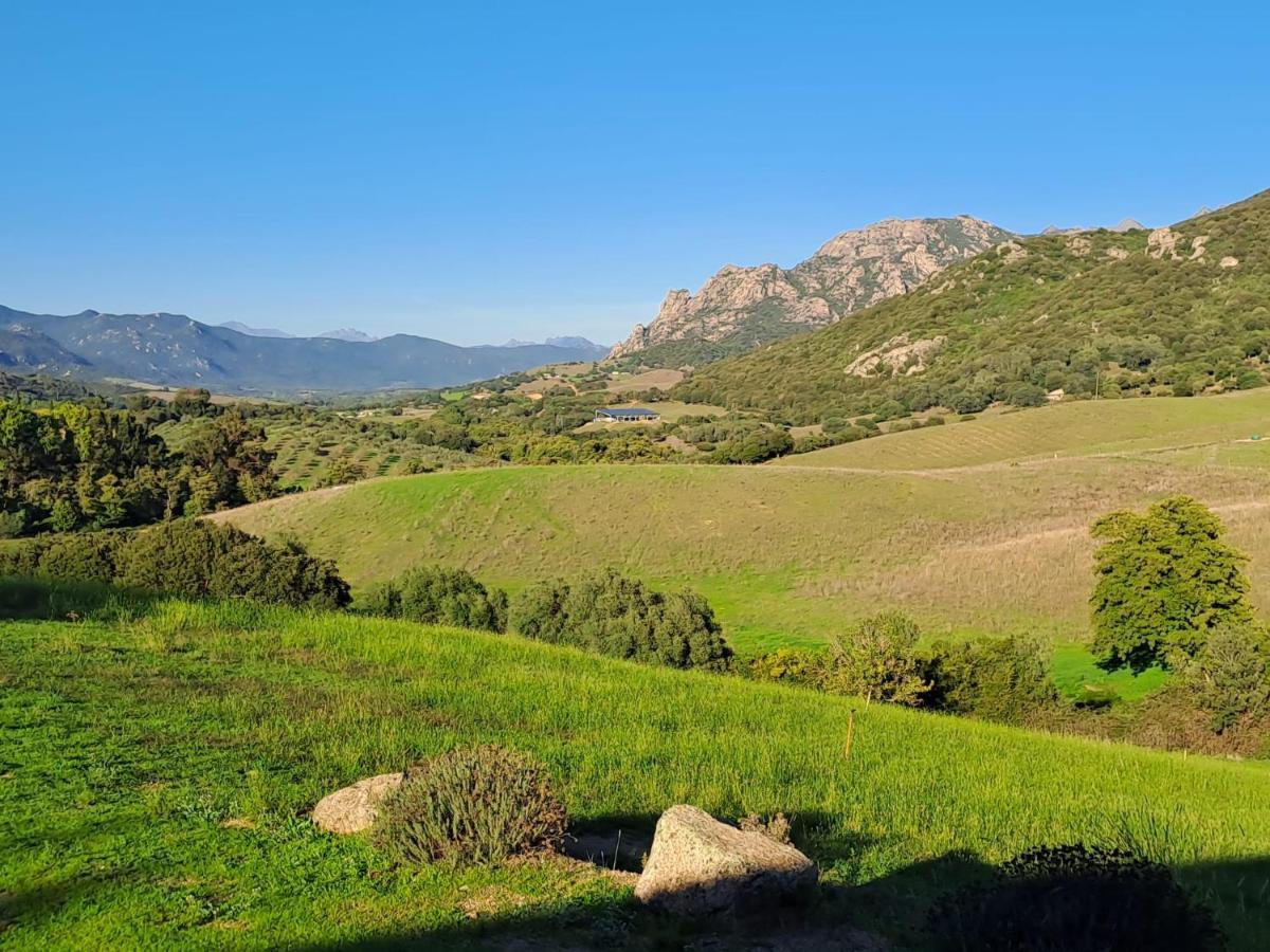 Ferme De Roccapina Bed & Breakfast Sarragia Екстериор снимка